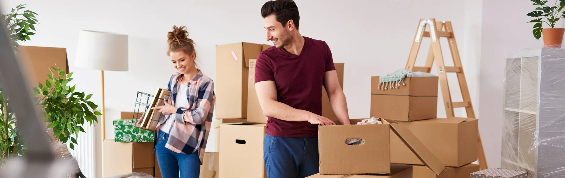 🚚 Umzug von Dresden nach Litauen ab 265€ - Profis für Ihren Umzug